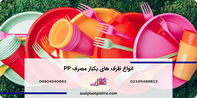 انواع ظروف یکبار مصرف pp