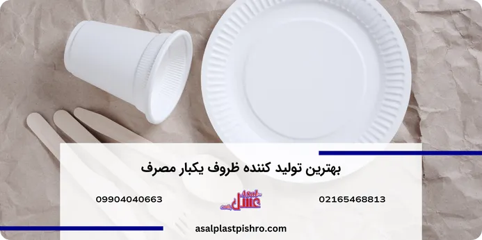 بهترین تولید کننده ظروف یکبار مصرف در تهران