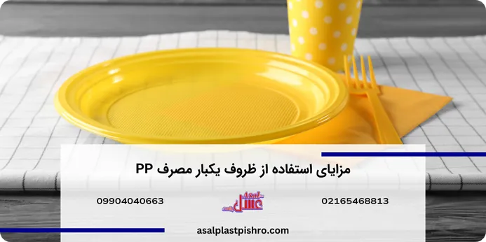 مزایای استفاده از ظروف یکبار مصرف PP