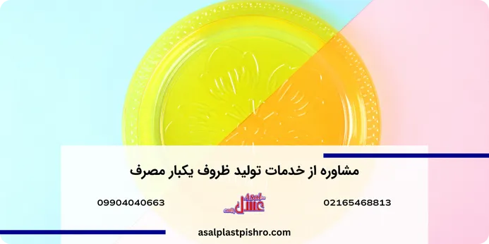 مشاوره از خدمات تولید ظروف یکبار مصرف