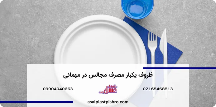 ظروف یکبار مصرف برای مجالس