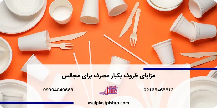 ظروف یکبار مصرف برای مجالس