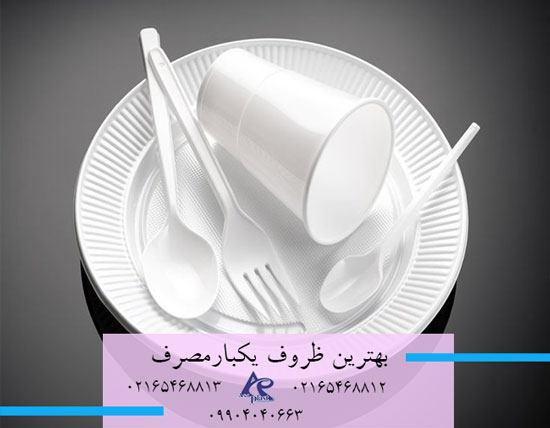 انتخاب بهترین ظروف یکبار مصرف